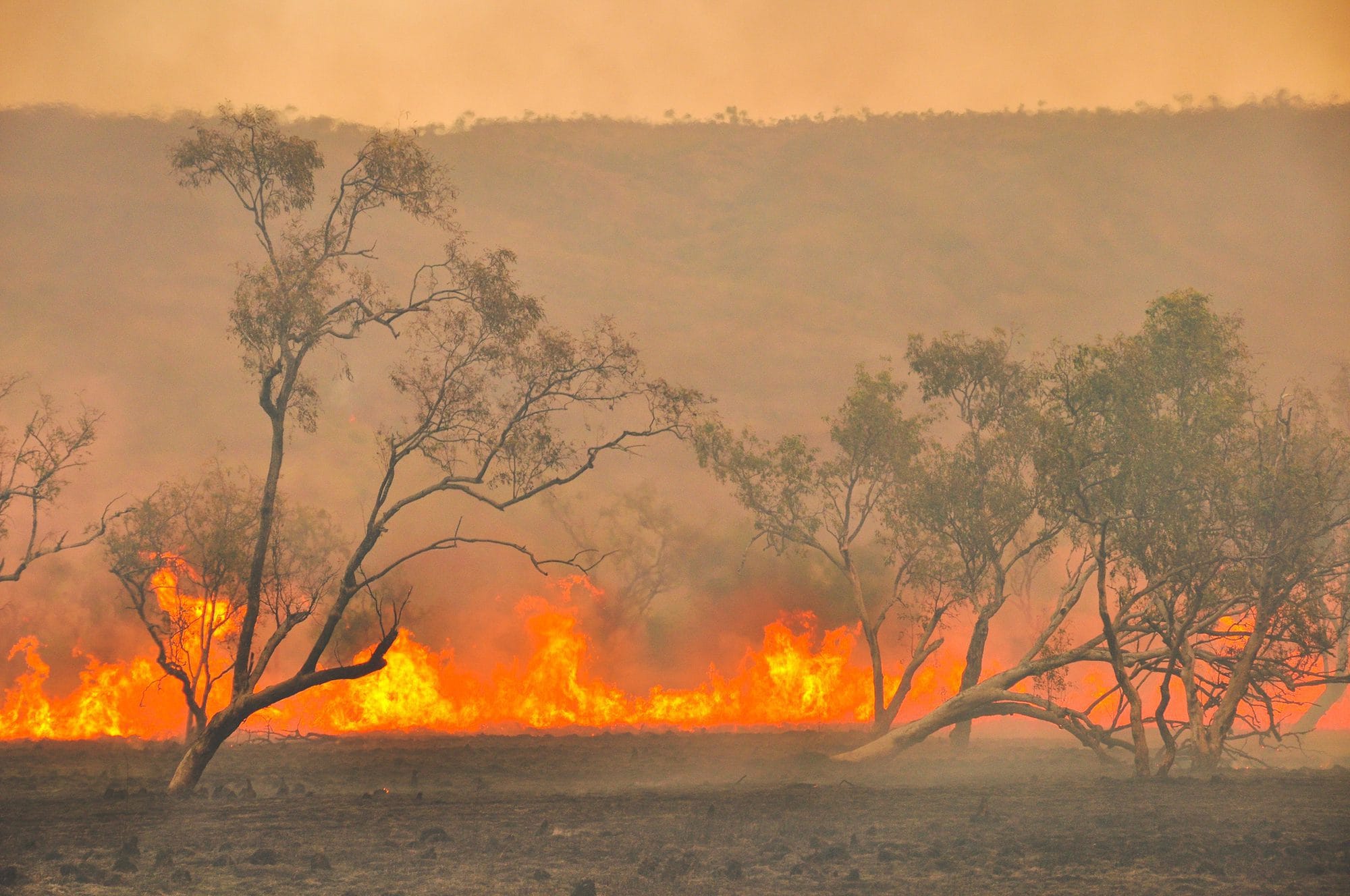 Picture of Bushfire outback in the page Camping in the shadow of a catastrophe