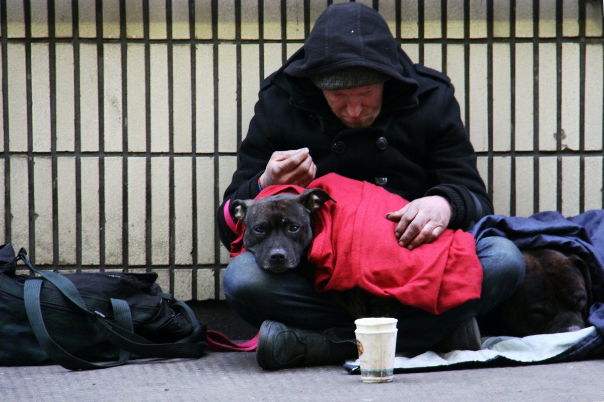 Picture of Homeless two Picture of Homeless two in the page Cold comfort for many