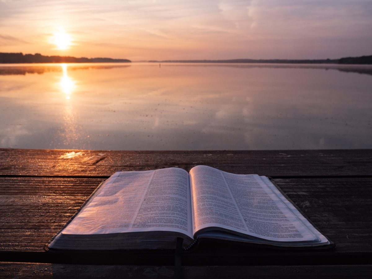 Picture of Lifebible scaled e1649904867921 in the page Matter of life and death
