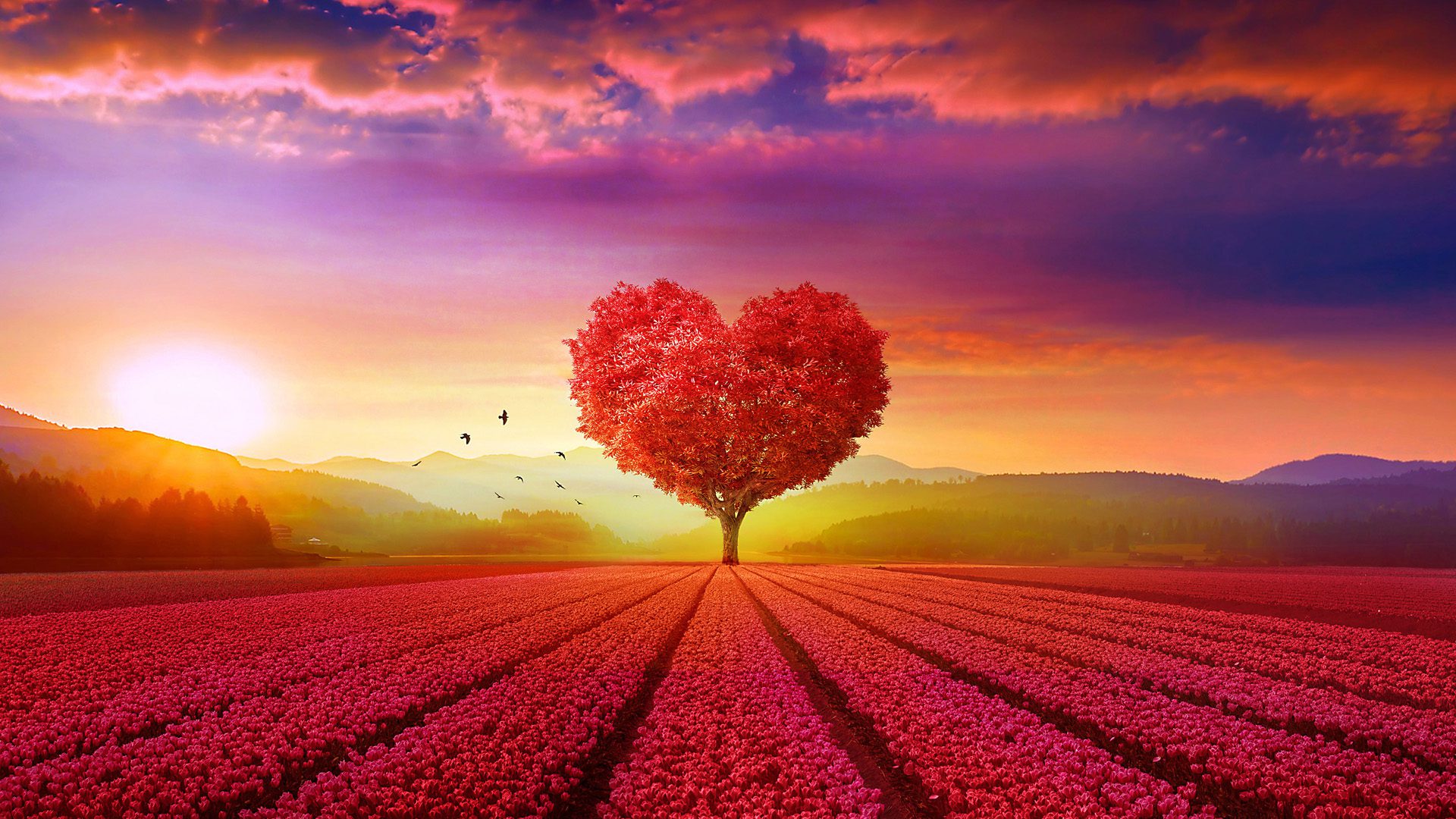 Picture of Pastoral partner program x px in the page **CANCELLED - Pastoral Partner Program - in person training