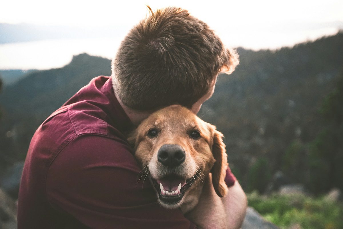Picture of Pets two Picture of Pets two in the page Pet loss and grief explored